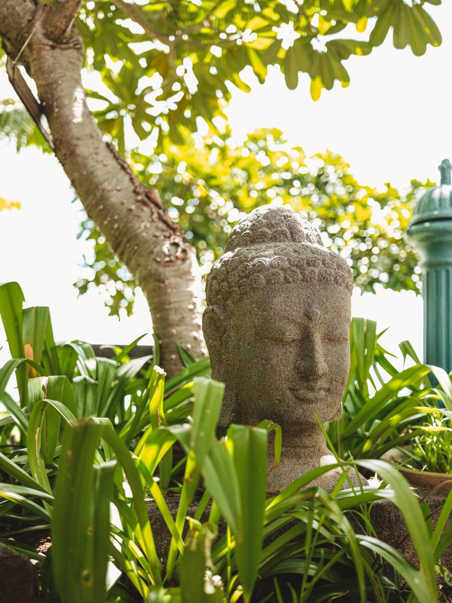 Harmonie Hotel ริวิแยร์นัวร์ ภายนอก รูปภาพ